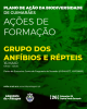 &Agrave; descoberta dos anf&iacute;bios e r&eacute;pteis de Guimar&atilde;es